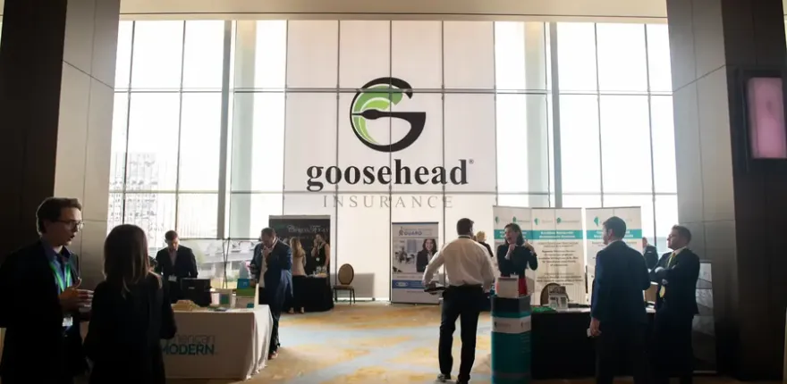 Goosehead Insurance